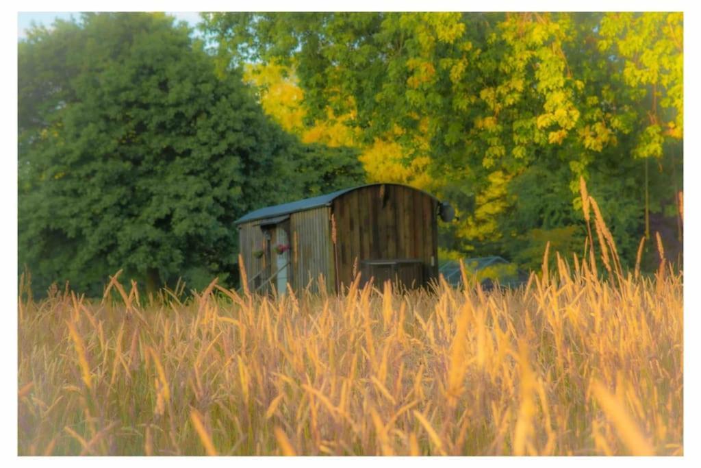 Mountbatten Shepherds Hut & Buckhurst Shepherds Hut Ashford  Exterior photo