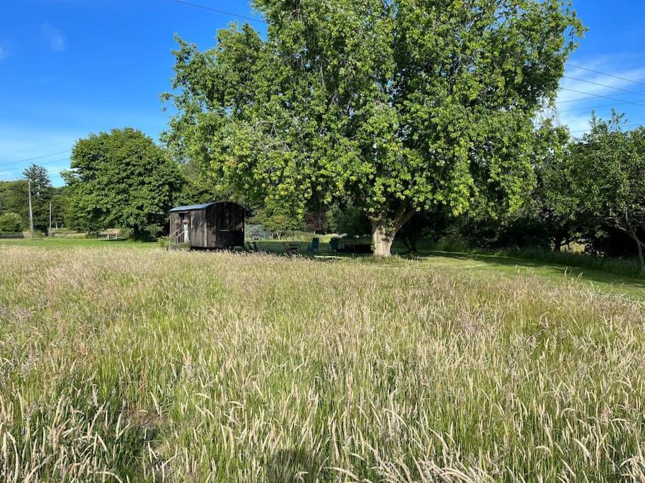 Mountbatten Shepherds Hut & Buckhurst Shepherds Hut Ashford  Exterior photo