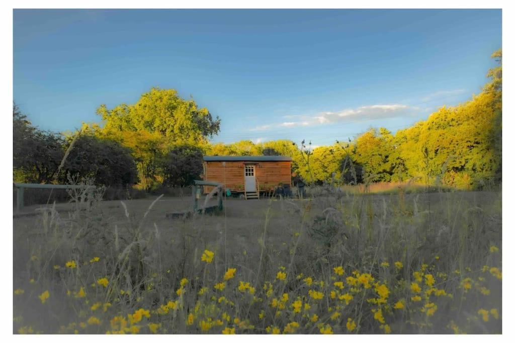 Mountbatten Shepherds Hut & Buckhurst Shepherds Hut Ashford  Exterior photo