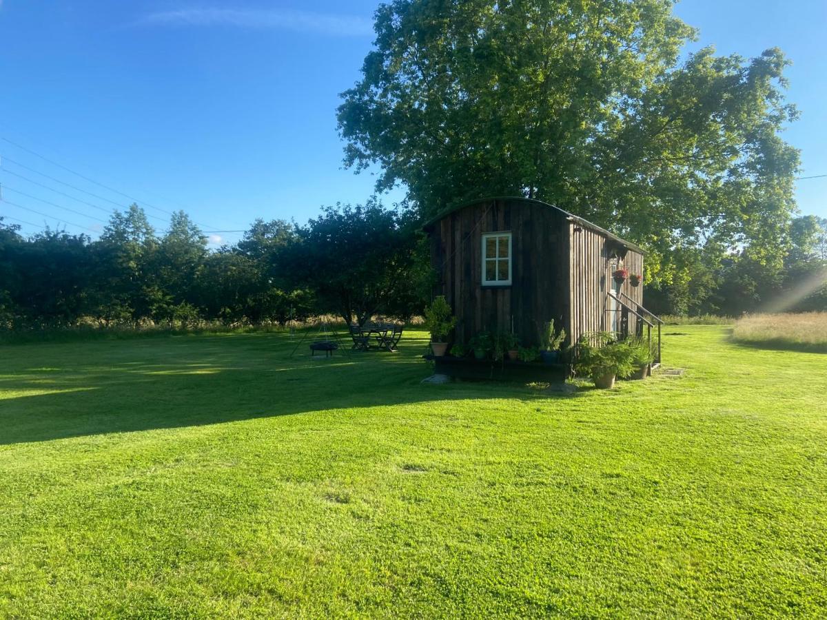 Mountbatten Shepherds Hut & Buckhurst Shepherds Hut Ashford  Exterior photo