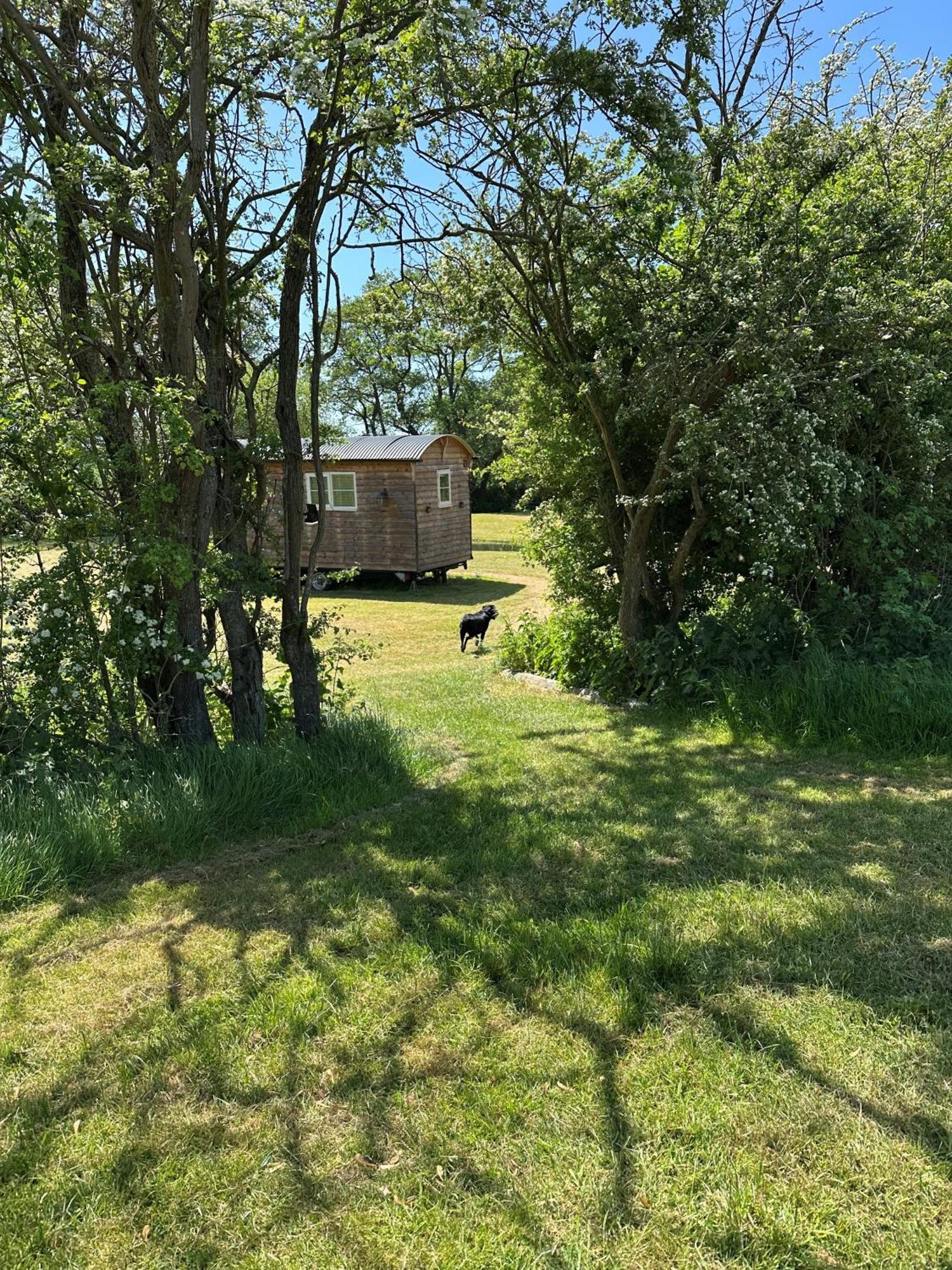 Mountbatten Shepherds Hut & Buckhurst Shepherds Hut Ashford  Exterior photo